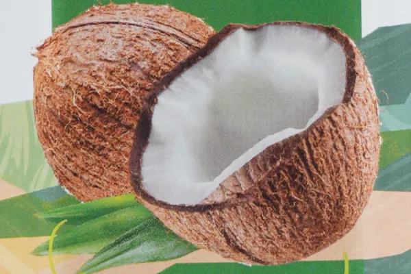 Coconut