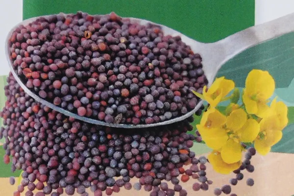 Mustard seed