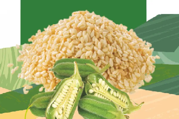 Sesame seed